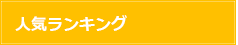 人気ランキング